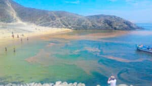 Playa Caleta Colorada