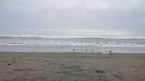 Playa La Punta